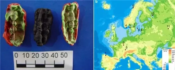  <a class='keyword-sd' href='/iskandinavya/' title='İskandinavya'>İskandinavya</a>'da 10.000 Yıllık Dna Taşıyan Bir Sakız Keşfedildi