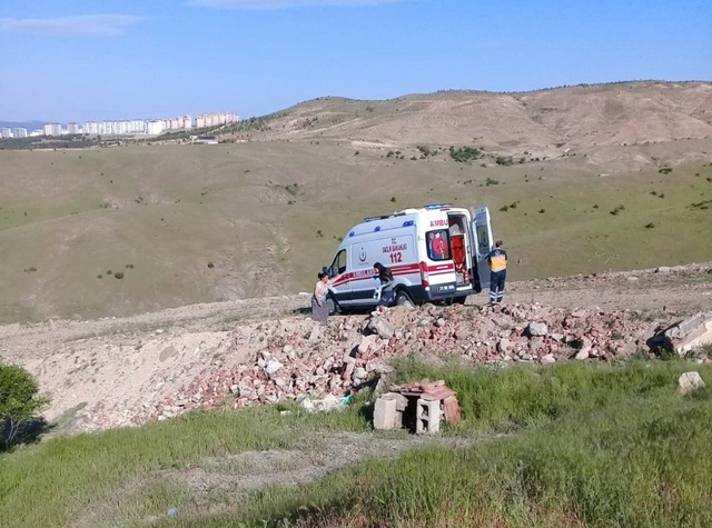 Sokak Köpekleri, 82 Yaşındaki Kadını Parçalayarak Öldürdü