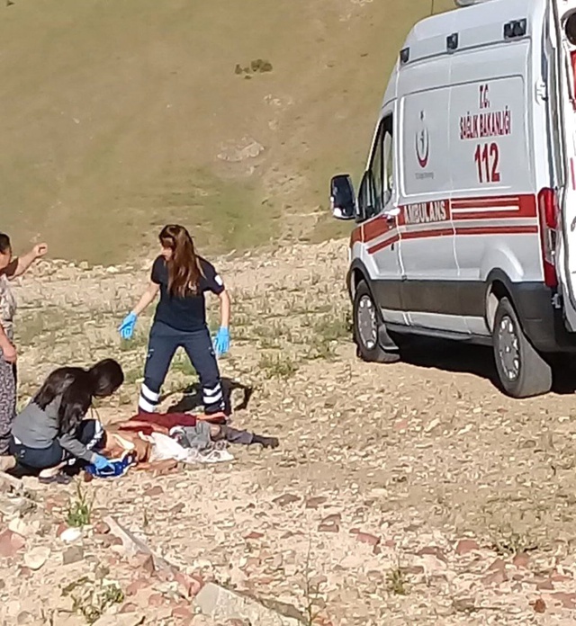 Sokak Köpekleri, 82 Yaşındaki Kadını Parçalayarak Öldürdü
