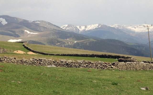 Giresun'daki 400 Yıllık Hacı Abdullah Duvarı, yaban hayvanlarına karşı yapılmış