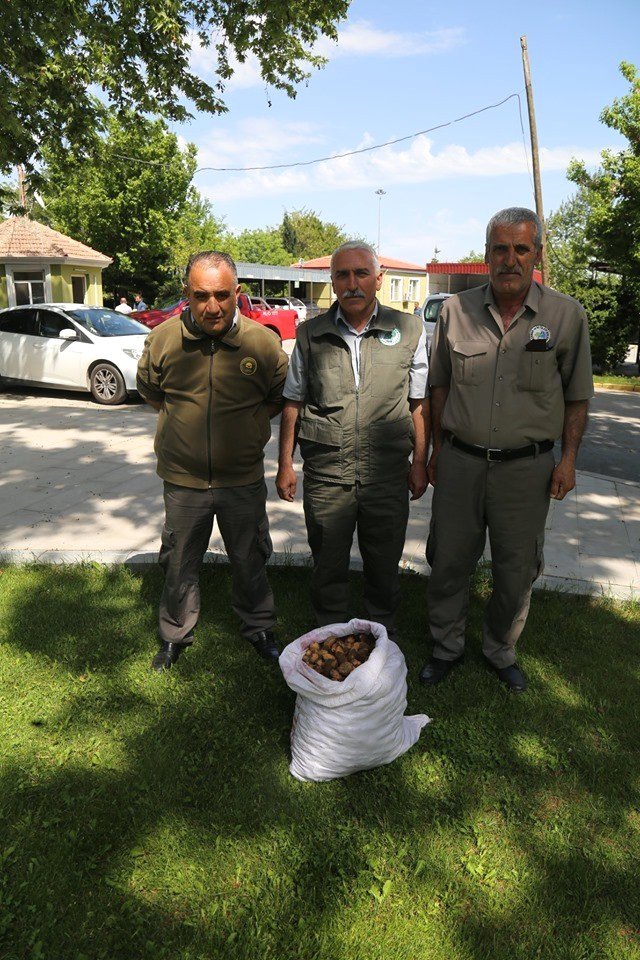 Salep Soğanı Toplayanlara Biyolojik Çeşitliliği Tahripten 300 Bin Lira Ceza Kesildi
