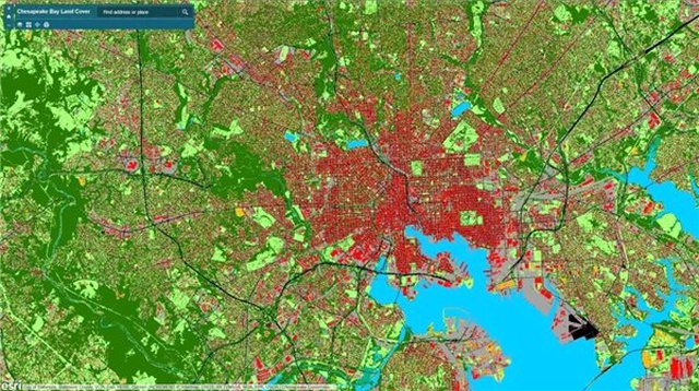 Microsoft, Çevreyi Korumak İçin Geliştirdiği Yapay Zeka Teknoloji Bildirimini Yayımladı