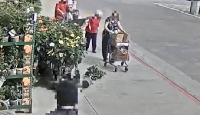 88 Yaşındaki Kadına Yumruk Atan Tekerlekli Sandalyeli Saldırgan, Kaçarken Bir Anda Ayaklandı