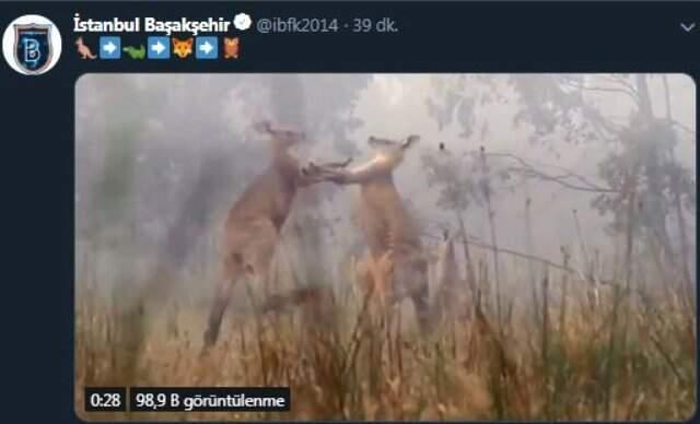 Medipol Başakşehir, Aziz Behich'i Transfer Etti