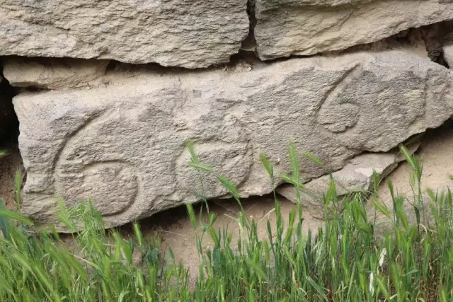 Kapadokya'da Ahırdan Tarih Fışkırdı