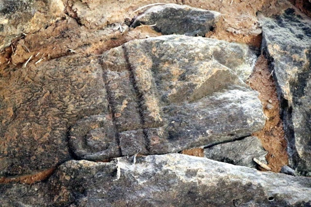 Kapadokya'da Ahırdan Tarih Fışkırdı