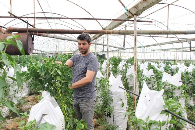 Çiftçilik Yapan Elektrik Mühendisi, Serasına Kurduğu Çuvallı Sistem Sayesinde Üretimini Artırdı
