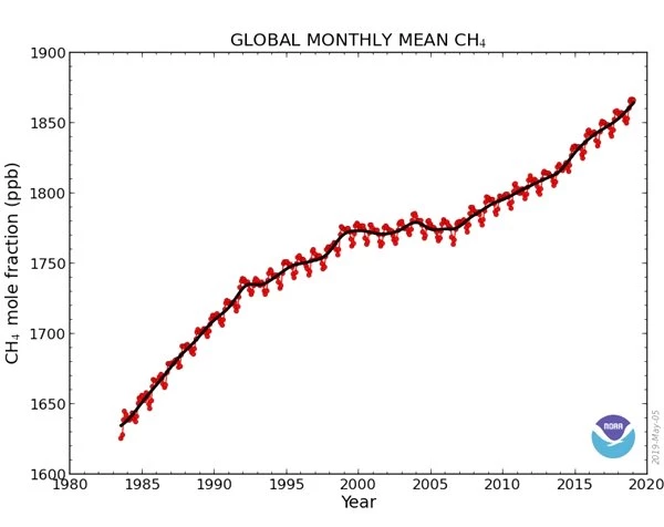 Küresel Metan Seviyesinde Öngörülemeyen Bir Artış Gerçekleşiyor