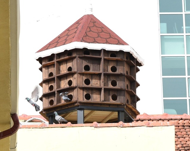 Orman Bölge Müdürlüğü'nün Çatısına 48 Girişi Olan Güvercin Evi Yerleştirildi
