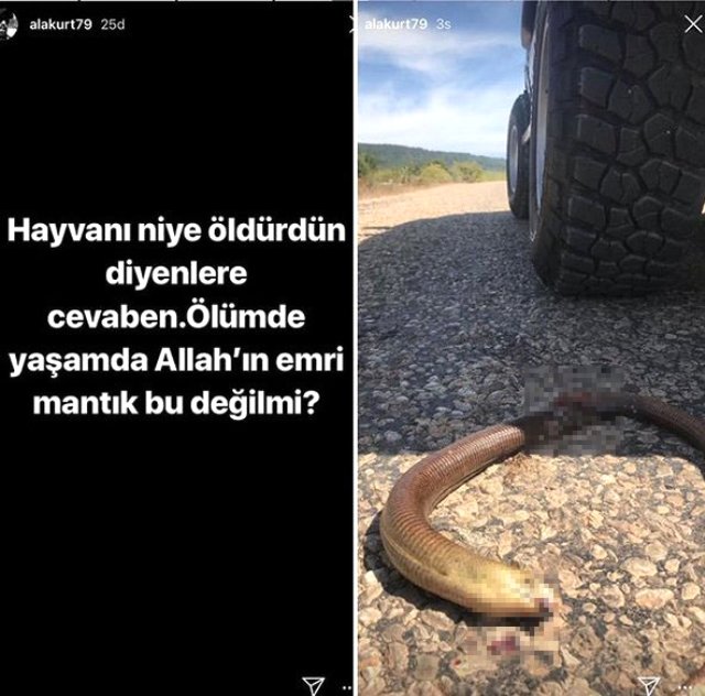 Öldürdüğü Yılanın Fotoğrafını Paylaşan Oyuncu Mehmet Akif Alakurt'tan Pişkin Savunma