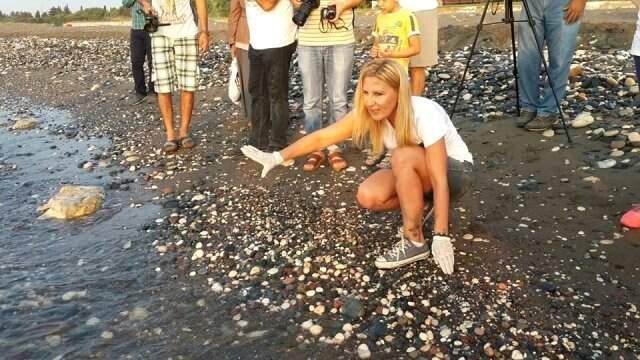 Ünlü İsimlerin Sahne Alacağı Festivalde Caretta Caretta'lar Zarar Görmesin Diye Dilekçe Verildi