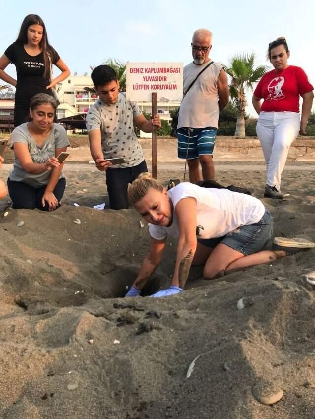 Ünlü İsimlerin Sahne Alacağı Festivalde Caretta Caretta'lar Zarar Görmesin Diye Dilekçe Verildi
