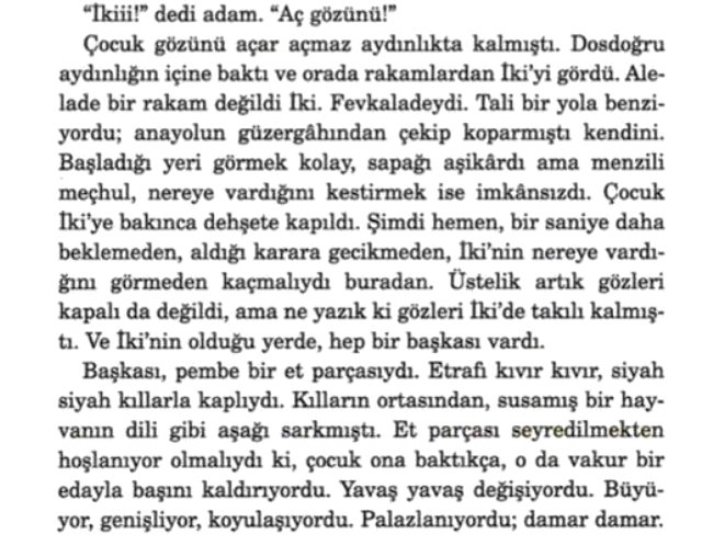 Abdullah Şevki'nin ardından Elif Şafak'ın da çocuk istismarını öven kitap yazdığı ortaya çıktı