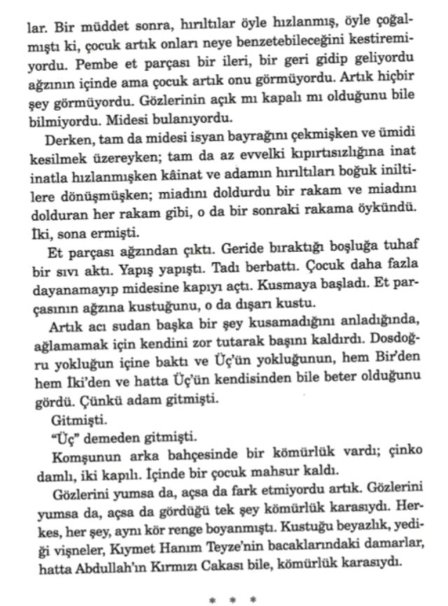 Abdullah Şevki'nin ardından Elif Şafak'ın da çocuk istismarını öven kitap yazdığı ortaya çıktı