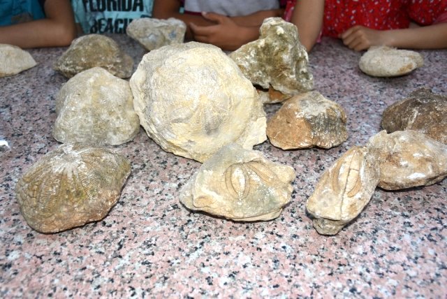 Tam 70 milyon yıllık! Okul müdürünün bulduğu fosile öğrenciler hayranlıkla dokundu