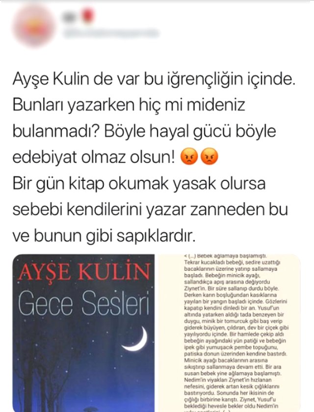 Ünlü yazar Ayşe Kulin'in kitabında da pedofili içeren ifadeler ortaya çıktı!