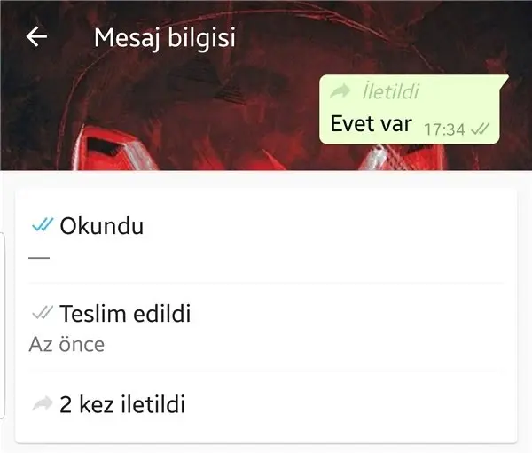 WhatsApp'a Kullanıcıları Memnun Edecek İki Yeni Özellik Geldi