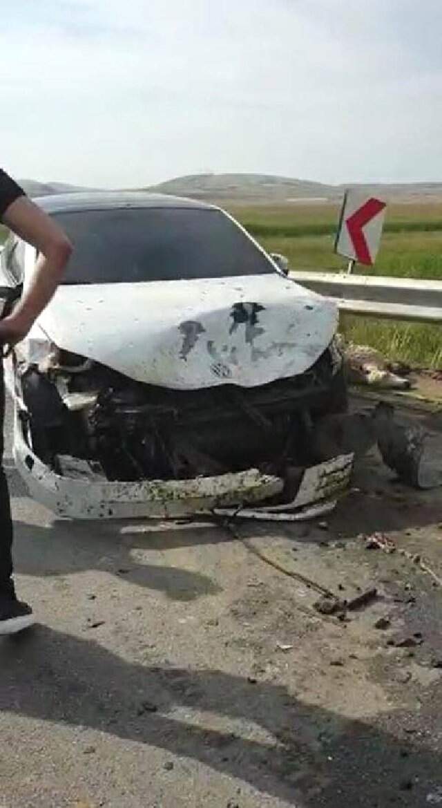 Uyuşturucu tacirleri polisten kaçarken koyun sürüsüne çarptı