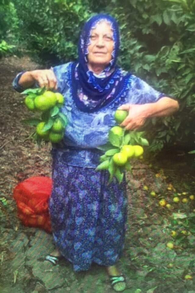 Adana'da korkunç kaza! Acemi sürücü kaldırımda oturan iki kadını böyle ezdi
