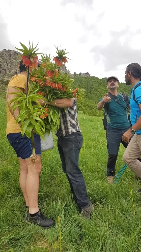 Tunceli'de 