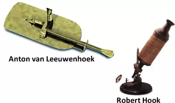 Mikroskobun Öğrenince Çok Şaşıracağınız İcat Edilme Nedeni
