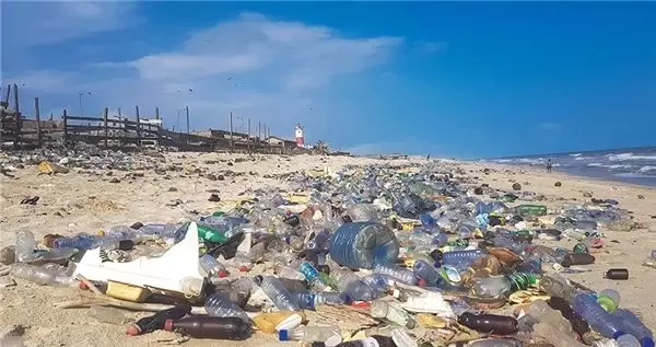Doğal Hayatı Koruma Vakfı'ndan Üzücü Rapor: Adana Ceyhan Akdeniz'in En Kirli Yeri