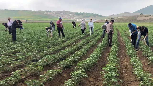 2050'de 10 milyar insanı beslemenin 5 yolu