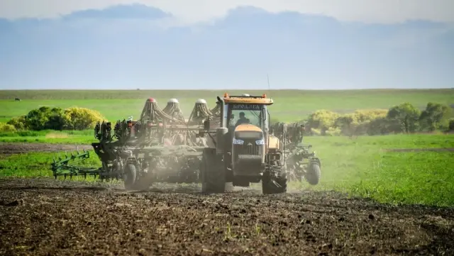 2050'de 10 milyar insanı beslemenin 5 yolu