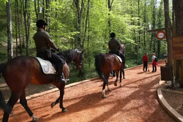 İstanbul Belgrad Ormanları'na atlı koruma geldi!