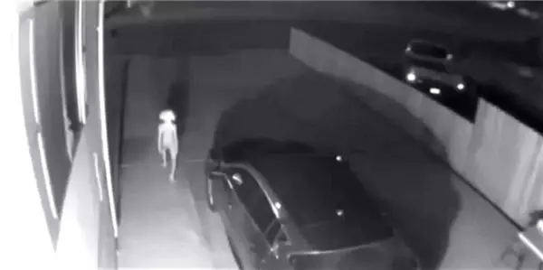 Güvenlik Kamerasına Takılan Harry Potter'ın 'Dobby' Karakteri, Sosyal Medyayı Karıştırdı