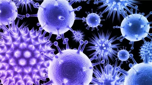 İnsanlarda Bulunan Virüslerde Önemli Bir Zafiyet Keşfedildi