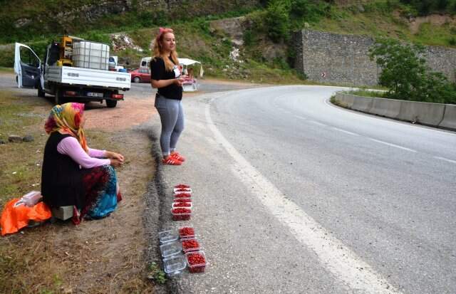 Zor şartlarda toplanan dağ çileğinin kilosu 120 liradan kapış kapış satılıyor Zor şartlarda toplanan dağ çileğinin kilosu 120 liradan kapış kapış satılıyor