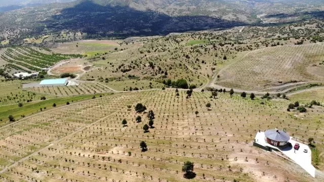 Yıllarca vergi rekortmenleri listesine giren iş adamından memleketine dev yatırım
