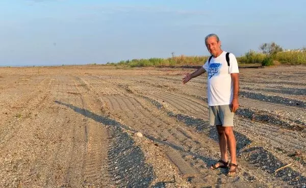 Tarla gibi sürülen caretta caretta kumsalında 50 yuva yok oldu