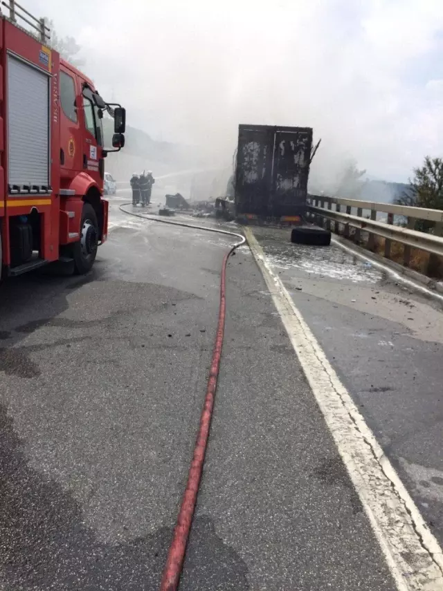 Seyir halindeki tır alev alev yandı