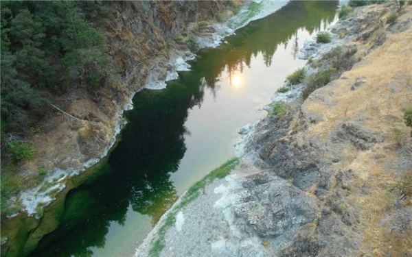 Bilim İnsanları, Nehir Yaşamını Korumak İçin 4 Aşamalı Bir Plan Tasarladı