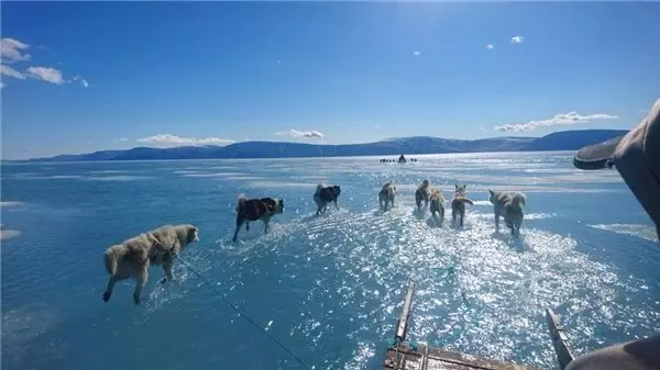 Küresel Isınmanın Etkilerini Açık Bir Şekilde Görmemizi Sağlayan Korkunç Fotoğraf