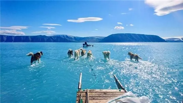 Küresel Isınmanın Etkilerini Açık Bir Şekilde Görmemizi Sağlayan Korkunç Fotoğraf