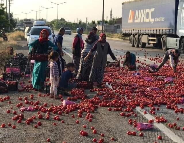 TIR kaza yaptı, çevredekiler yola saçılan domatesleri toplayıp evlerine götürdü TIR kaza yaptı, mahalleli yola saçılan domatesleri toplayıp evlerine götürdü