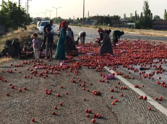 TIR kaza yaptı, çevredekiler yola saçılan domatesleri toplayıp evlerine götürdü TIR kaza yaptı, mahalleli yola saçılan domatesleri toplayıp evlerine götürdü