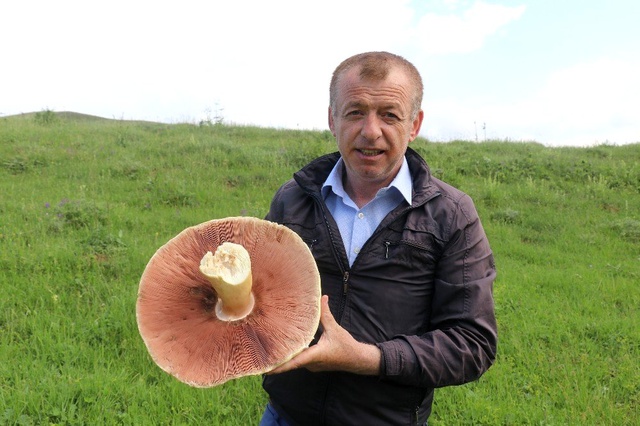 Gümüşhane'de 2 kilogram ağırlığında mantar bulundu