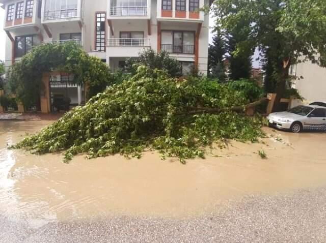 Elazığ'da yollar göle döndü, ağaçlar devrildi