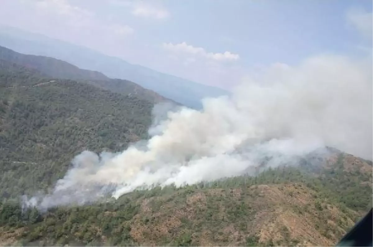 Marmaris te orman yangın Son Dakika