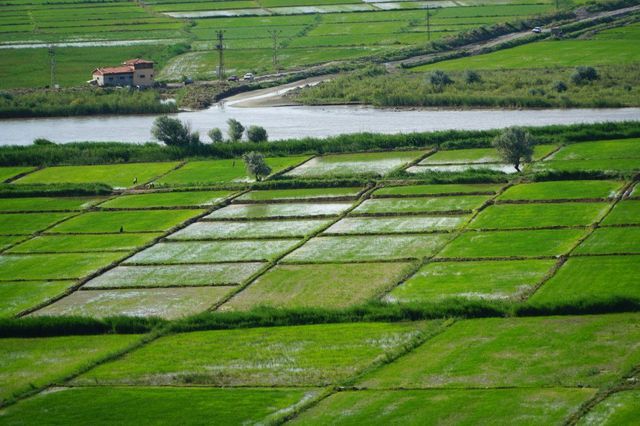 Beyaz altın tarlaları havadan görüntülendi! Ortaya kartpostallık görüntüler çıktı