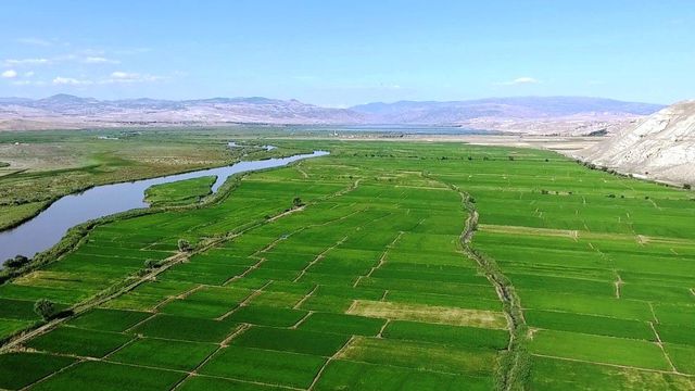 Beyaz altın tarlaları havadan görüntülendi! Ortaya kartpostallık görüntüler çıktı