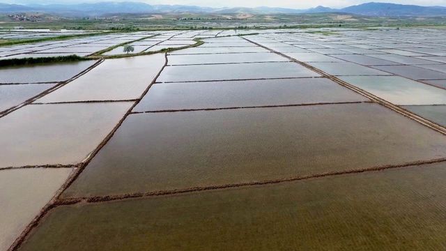 Beyaz altın tarlaları havadan görüntülendi! Ortaya kartpostallık görüntüler çıktı
