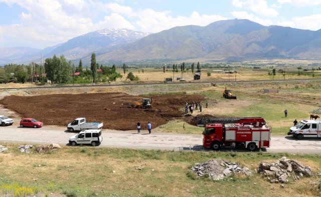 Erzincan'da şaşkına çeviren görüntü! İnekleri tarlada bu halde buldular