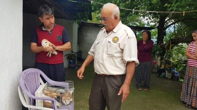 Mahalleyi tedirgin eden esrarengiz sesin sırrı çözüldü Mahalleyi tedirgin eden esrarengiz sesin sırrı çözüldü