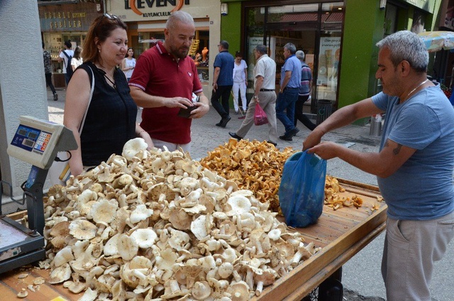 Tirmit mantarı tezgahlardaki yerini aldı