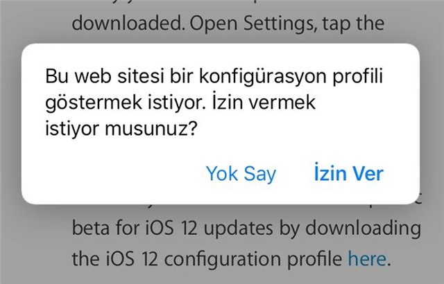 iOS 13 Public Beta Yayınlandı: İşte Adım Adım Kurulum Rehberi